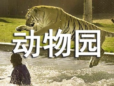 香港旅游日记英语 （精选6篇）动物园为动物提供舒适、安全的生活条件