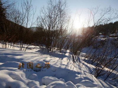 香港北国冰雪世界：梦幻冬季之旅